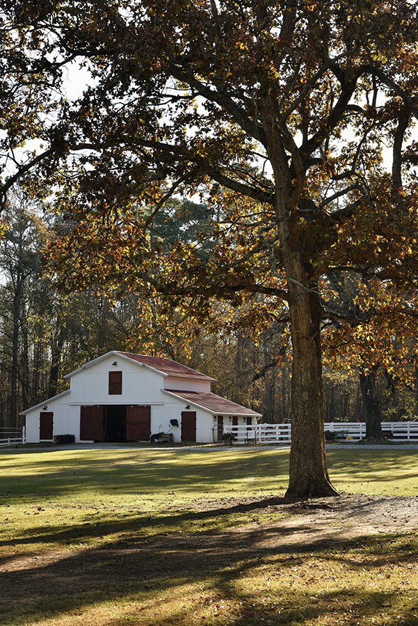 44 Farmhouse WEB 043
